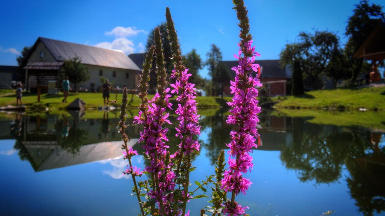 Campingplatz Glamping Vrhovc Zelezniki